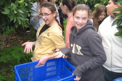 top school chessed programs (1)