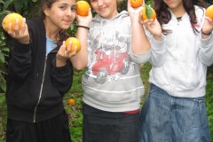 top school chessed programs (59)